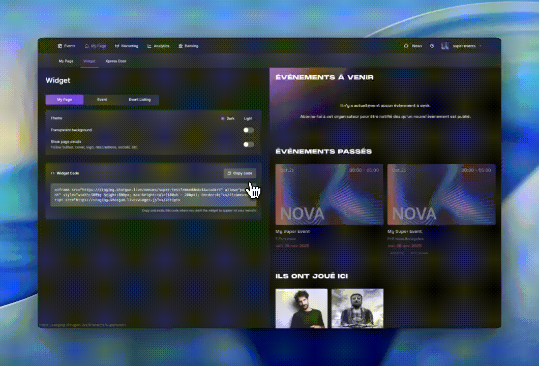 copypastewidget.gif