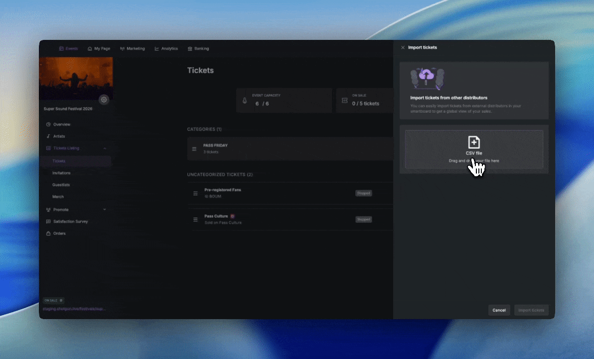 Import-ticket-2.gif