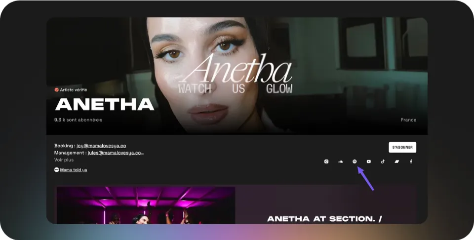 Spotify (4) (1).png